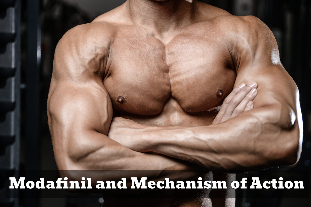 Modafinil: The Smart Drug of Choice for Bodybuilders